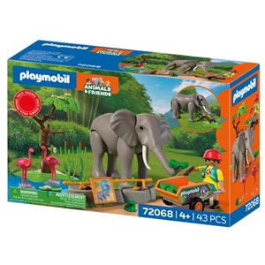Eléphants et soigneur animalier
