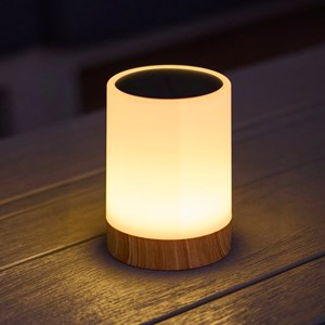 Lot de 2 lampes de table sans fil blanc duolight