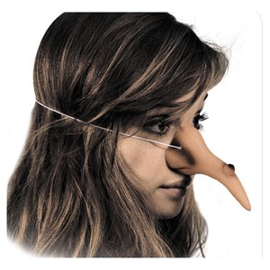 Nez de sorciere - deguisement