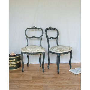 Paire de chaises en bois n°883
