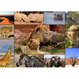Puzzle collage - wildlife - 1000 pièces