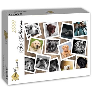 Puzzle chiens - 2000 pièces