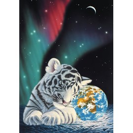 Puzzle schim schimmel - earth lights - 1500 pièces