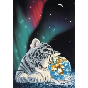 Puzzle schim schimmel - earth lights - 1500 pièces
