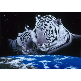 Puzzle schim schimmel - sleep tight - 1500 pièces