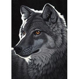 Puzzle schim schimmel - night wolf - 1000 pièces