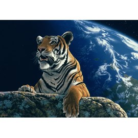 Puzzle schim schimmel - only one home - 2000 pièces