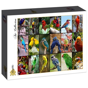 Puzzle collage - oiseaux colorés - 1500 pièces