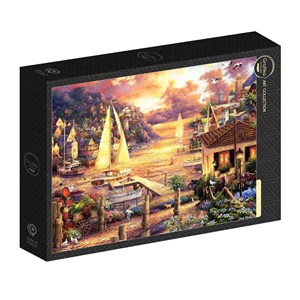 Puzzle chuck pinson - catching dreams - 500 pièces
