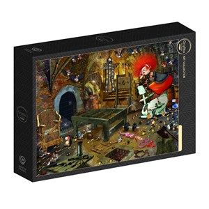 Puzzle françois ruyer - salle de sport - 500 pièces