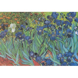 Puzzle vincent van gogh - saint-remy - les iris, 1889 - 1000 pièces