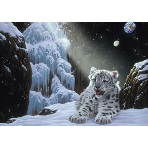 Puzzle schim schimmel - ice house - 1000 pièces