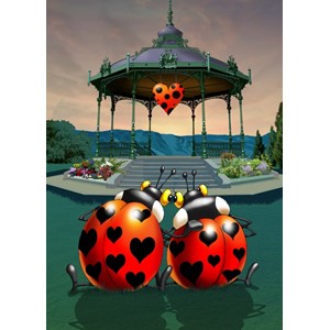 Puzzle françois ruyer - in love - 500 pièces