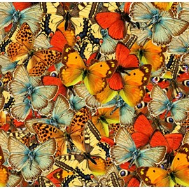 Puzzle nuée de papillons - 1000 pièces