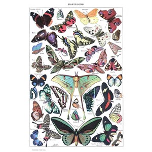 Puzzle illustration du larousse pour tous : papillons, 1907-1910 - 1000 pièces