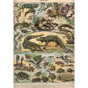 Puzzle illustration du nouveau larousse illustré : reptiles,  - 1000 pièces