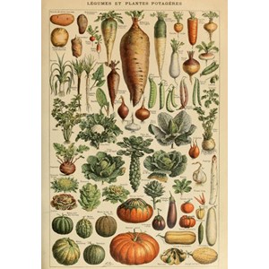 Puzzle illustration du larousse pour tous : légumes et plante - 1000 pièces