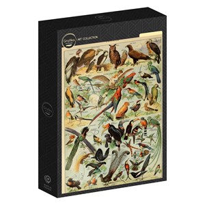 Puzzle illustration du larousse pour tous : oiseaux, 19è siècle - 1000 pièces