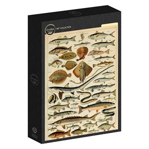 Puzzle illustration du larousse pour tous : poissons, 19è siè - 1000 pièces