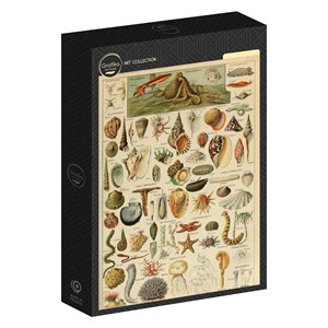 Puzzle illustration du larousse pour tous : mollusques, 19è s - 1000 pièces