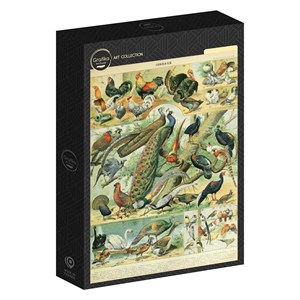 Puzzle illustration du nouveau larousse illustré : oiseaux, 1 - 1000 pièces