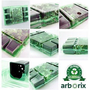 2 x cotonéaster - cotoneaster suecicus 'coral beauty' - 20-25 cm godet de 9cm x