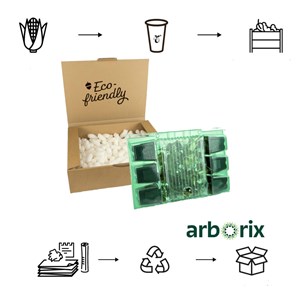 2 x cotonéaster - cotoneaster suecicus 'skogholm' - 20-25 cm godet de 9cm x 9cm