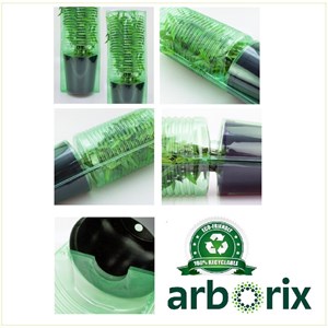 2 x potentille arbustive  - potentilla fruticosa 'tangerine'  - 25-30 cm pot