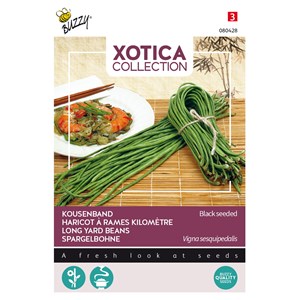 Buzzy xotica haricot à rames kilomètre semences - ca. 10 gr (livraison
