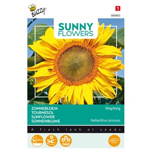 Buzzy sunny flowers tournesol king kong semences - ca. 4 gr (livraison