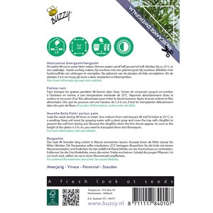 Buzzy house plants chamaedorea palmier nain semences - ca. 15 graines