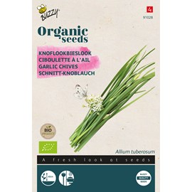 Buzzy organic ciboulette chinouse à l'ail - bio semences - ca. 0,6 gr