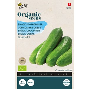 Buzzy organic coriandre à feuille - bio semences - ca. 3 gr (livraison