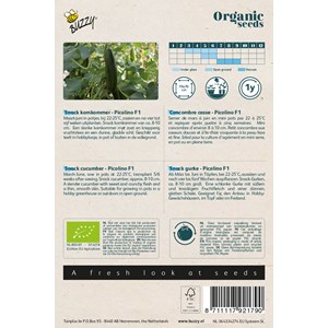 Buzzy organic coriandre à feuille - bio semences - ca. 3 gr (livraison