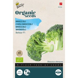 Buzzy organic chou brocoli belstar f1 - bio semences - ca. 25 graines