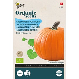 Buzzy organic potiron jack o' lantern - bio semences - ca 1 (livraison