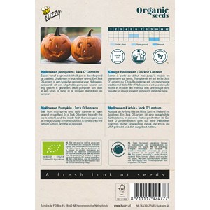 Buzzy organic potiron jack o' lantern - bio semences - ca 1 (livraison