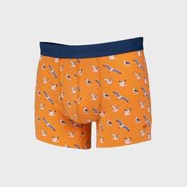 Boxer en coton biologique seagull