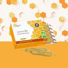 Gelée royale ampoules 1500g