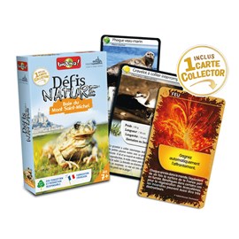 Defis nature - baie du mont st michel