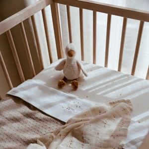 Set de 2 langes en gaze de coton little goose (70 x 70 cm)