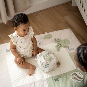 Cube d'activités animals laurel