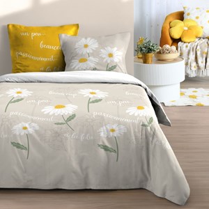 Housse de couette 240x220 + 2 taies