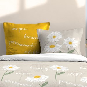 Housse de couette 240x220 + 2 taies