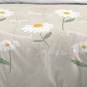 Housse de couette 240x220 + 2 taies