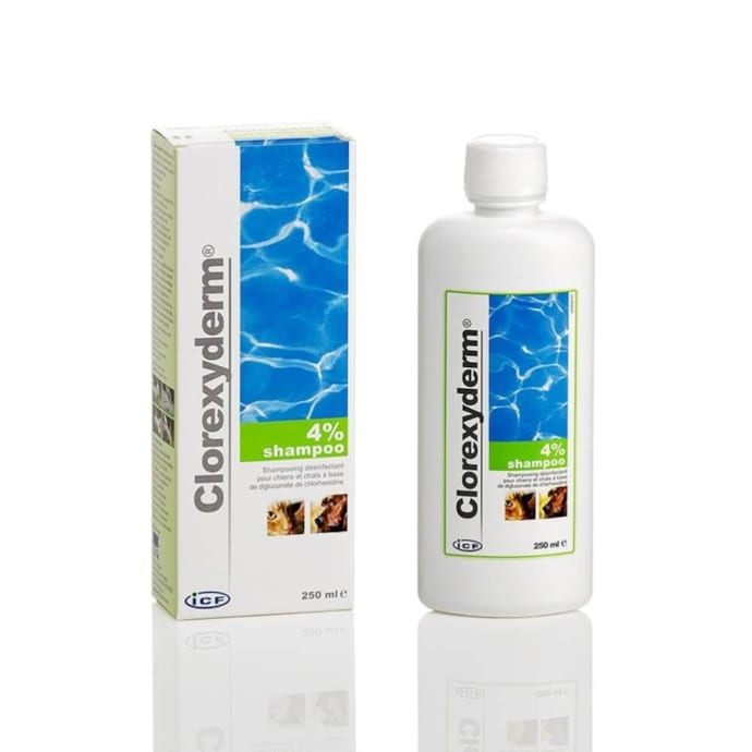 Clorexyderm shampooing - ldca