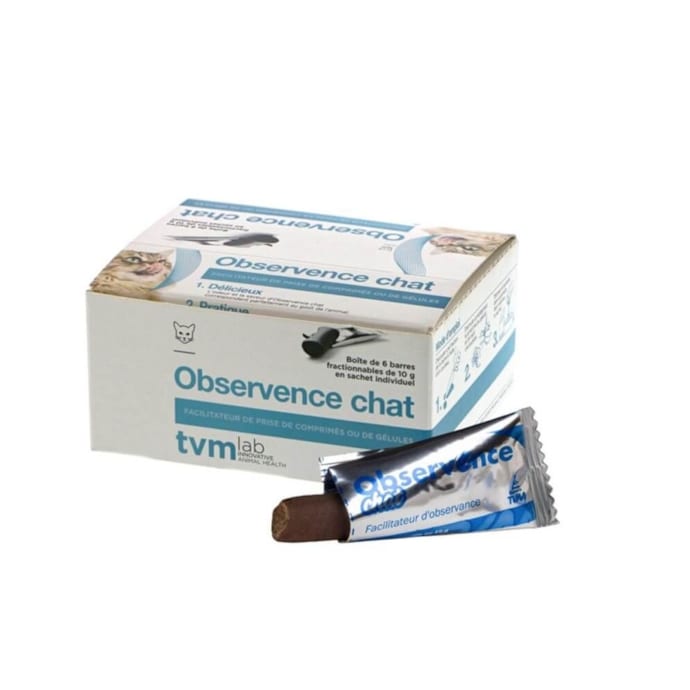 Observence chat - tvm