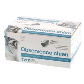 Observence chien - tvm