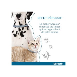 Collier antiparasitaire chat - seresto