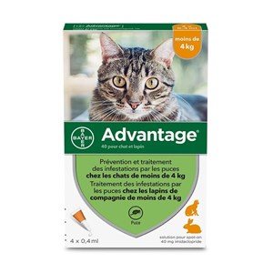 Pipettes antiparasitaire chat &nbsp; lapin advantage 40 (0-4 kg) - bayer